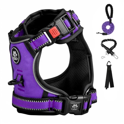 FURRYFECTION Hundegeschirr mittelgroße Hunde, Geschirr Hund ausbruchsicher Antizuggeschirr ohne Zug, Brustgeschirr Dog Harness verstellebare Oxford Medium Hundegeschirre mit Leine von FURRYFECTION