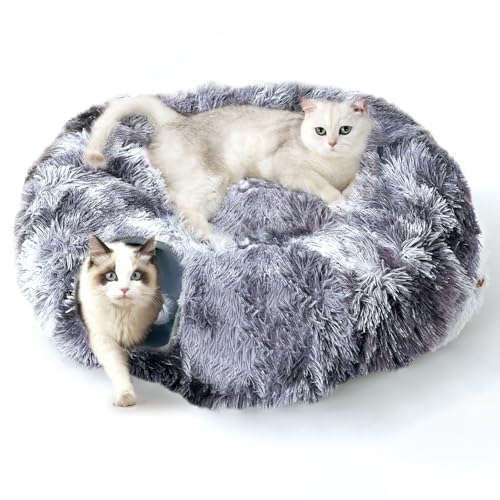 FURRYPAWS Katzentunnel XXL 3-in-1 für Katzen – 160cm Tunnel & Katzenbett, Verstellbar (S/C/Rund), Atmungsaktiv, Stabiler Metallrahmen, Klappbar, Ideal für Große Katzen & Kleintiere FURRYPAWS Katzentunnel XXL 3-in-1 für Katzen – 160cm Tunnel & Katzenbett, Verstellbar (S/C/Rund), Atmungsaktiv, Stabiler Metallrahmen, Klappbar, Ideal für Große Katzen & Kleintiere von FURRYPAWS