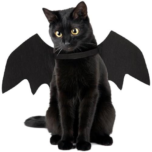 Katzen-Fledermausflügel, Katzen-Fledermaus-Kostüm, niedliche Fledermausflügel für Katzen, Kätzchen, Halloween-Kostüm, Kätzchen, Fledermäuse, Flügel, Haustier, Halloween, Verkleidungszubehör, Schwarz Katzen-Fledermausflügel, Katzen-Fledermaus-Kostüm, niedliche Fledermausflügel für Katzen, Kätzchen, Halloween-Kostüm, Kätzchen, Fledermäuse, Flügel, Haustier, Halloween, Verkleidungszubehör, Schwarz von FUTERLY