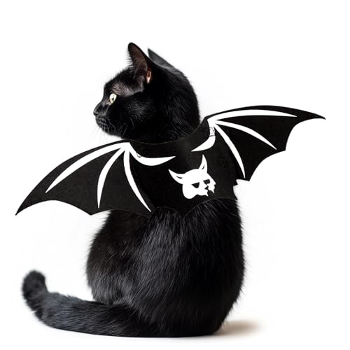 Katzen-Fledermausflügel, Katzen-Fledermaus-Kostüm, niedliche Fledermausflügel für Katzen, Kätzchen, Halloween-Kostüm, Kätzchen, Fledermäuse, Flügel, Haustier, Halloween, Verkleidungszubehör, Weiß Katzen-Fledermausflügel, Katzen-Fledermaus-Kostüm, niedliche Fledermausflügel für Katzen, Kätzchen, Halloween-Kostüm, Kätzchen, Fledermäuse, Flügel, Haustier, Halloween, Verkleidungszubehör, Weiß von FUTERLY