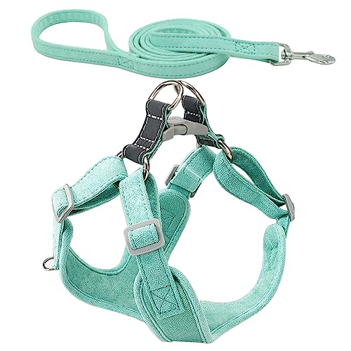 FUTUREORYY 1satz Geschirr Für Kleine Hunde Verstellbare Und Bequeme Hundeleine Tragbarer Hundeharnisch Spazierengehen Und Joggen Mit Teiliges von FUTUREORYY