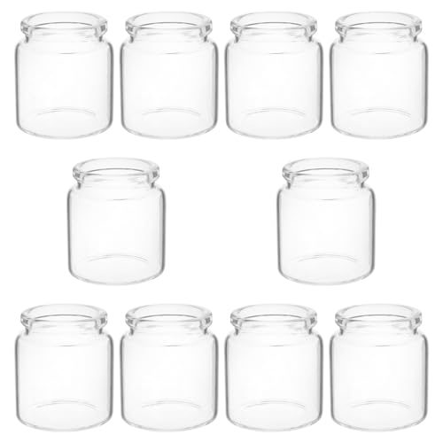 FUTUREORYY 10 Stück Teiliges Mini Reagenzglas Glasvasen für Pflanzen Transparente Mini Landschaftsflaschen für Sukkulenten Moos und Hydrokultur Dekorative Tischdeko für Büro und Regal FUTUREORYY 10 Stück Teiliges Mini Reagenzglas Glasvasen für Pflanzen Transparente Mini Landschaftsflaschen für Sukkulenten Moos und Hydrokultur Dekorative Tischdeko für Büro und Regal von FUTUREORYY