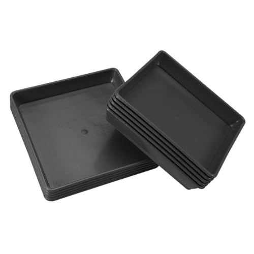 FUTUREORYY 10 Stück Teiliges Quadratisches Pflanzuntersetzer Strapazierfähigem Kunststoff Wasserfester Pflanzen tropfteller rutschfeste Blumentopf Schale für Innen Außenbereiche FUTUREORYY 10 Stück Teiliges Quadratisches Pflanzuntersetzer Strapazierfähigem Kunststoff Wasserfester Pflanzen tropfteller rutschfeste Blumentopf Schale für Innen Außenbereiche von FUTUREORYY