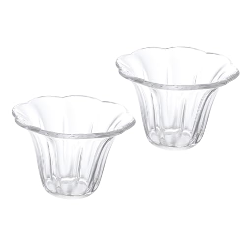 FUTUREORYY 2 Stück Lampenschirm aus Klarem Transparenter Lampenschutz Praktischer Lampenschirm Ersatz für Deckenleuchte Stehlampe Wandlampe Wohnzimmer und Schlafzimmer Geeignet FUTUREORYY 2 Stück Lampenschirm aus Klarem Transparenter Lampenschutz Praktischer Lampenschirm Ersatz für Deckenleuchte Stehlampe Wandlampe Wohnzimmer und Schlafzimmer Geeignet von FUTUREORYY