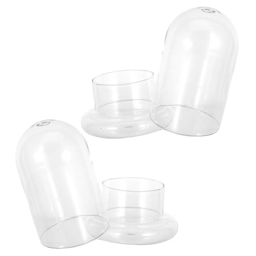 FUTUREORYY 2 Stück Landschafts Ökologische Glasflasche mit DIY Moosflaschen Terrarium für Tischdeko Langlebiges Borosilikatglas Geeignet für Bonsai Regal Wohnzimmer und Büro FUTUREORYY 2 Stück Landschafts Ökologische Glasflasche mit DIY Moosflaschen Terrarium für Tischdeko Langlebiges Borosilikatglas Geeignet für Bonsai Regal Wohnzimmer und Büro von FUTUREORYY