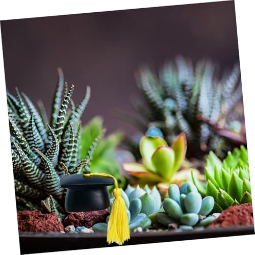 FUTUREORYY 2 Stück Mini Doktorhut Deko Resin Figur Realistisch Gestaltet Kreative Tisch Fensterbank Verzierung Vielseitige Party Fotorequisite für Garten Regal Blumenpot Geeignet von FUTUREORYY