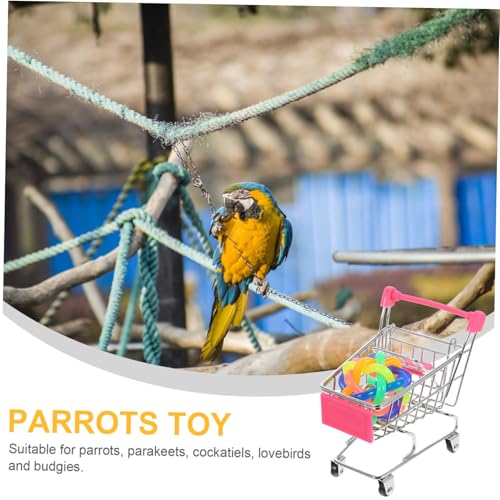 FUTUREORYY 2 Stück Papagei mit Mini Einkaufswagen und Buntem Rattanball Förderndes Intelligenzspielzeug aus Langlebigem Abs und Geeignet für Papageien und Sittiche Zufällige Zufällige Farbe FUTUREORYY 2 Stück Papagei mit Mini Einkaufswagen und Buntem Rattanball Förderndes Intelligenzspielzeug aus Langlebigem Abs und Geeignet für Papageien und Sittiche Zufällige Zufällige Farbe von FUTUREORYY