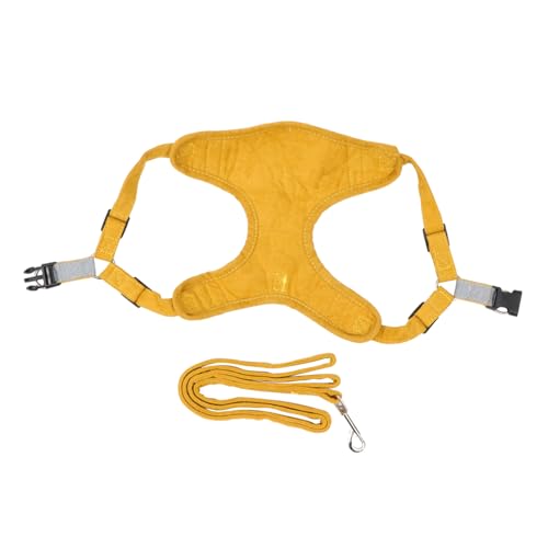FUTUREORYY 2 Stück Verstellbares Brustgeschirr für Kleine Hunde Teiliges Set aus Atmungsaktivem Leichtem Wildlederimitat Bequemes Haustiergeschirr mit Zugstoppfunktion für Sicheren FUTUREORYY 2 Stück Verstellbares Brustgeschirr für Kleine Hunde Teiliges Set aus Atmungsaktivem Leichtem Wildlederimitat Bequemes Haustiergeschirr mit Zugstoppfunktion für Sicheren von FUTUREORYY