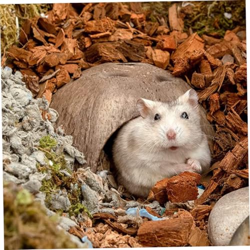 FUTUREORYY 3 Stück Teiliges Hamsterversteck aus Kokosnussschale Robustes Nagerhaus mit Natürlichem Material Geeignet als Spiel Schlafhöhle für Hamster Chinchillas und Kleintiere Langlebig von FUTUREORYY