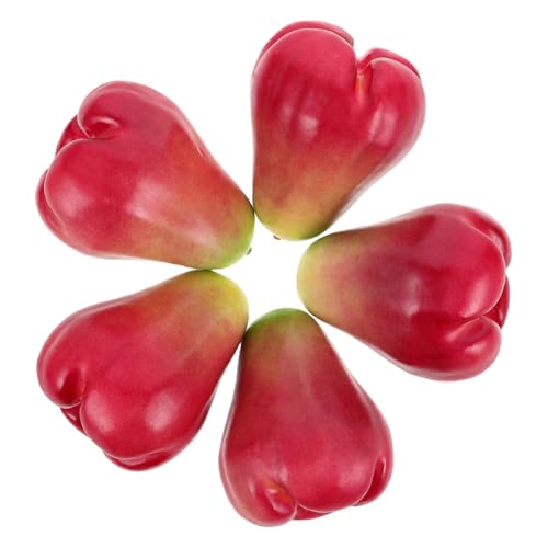 FUTUREORYY 5 Stück Lotusnebelmodell gefälschtes Gemüse Dekorative Früchte Künstliche Früchte dekoratives künstliches Obst simuliertes Obst Simulationsfrucht künstliche Frucht Schaum rot von FUTUREORYY