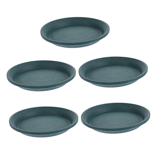 FUTUREORYY 5 Stück Pflanzuntersetzer Robustem Wasserdichtem Material rutschfest und UV Beständig für Blumentöpfe und Bonsai Leicht zu Reinigen Vielseitig für Garten und Innenbereich Geeignet FUTUREORYY 5 Stück Pflanzuntersetzer Robustem Wasserdichtem Material rutschfest und UV Beständig für Blumentöpfe und Bonsai Leicht zu Reinigen Vielseitig für Garten und Innenbereich Geeignet von FUTUREORYY