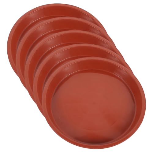 FUTUREORYY 5 Stück Runde Pflanztopf untersetzer aus Robustem Kunststoff wasserdichte Pflanzenschale für Blumentöpfe Strapazierfähige Pflanzentabletts für Innen Außenbereich Ø FUTUREORYY 5 Stück Runde Pflanztopf untersetzer aus Robustem Kunststoff wasserdichte Pflanzenschale für Blumentöpfe Strapazierfähige Pflanzentabletts für Innen Außenbereich Ø von FUTUREORYY