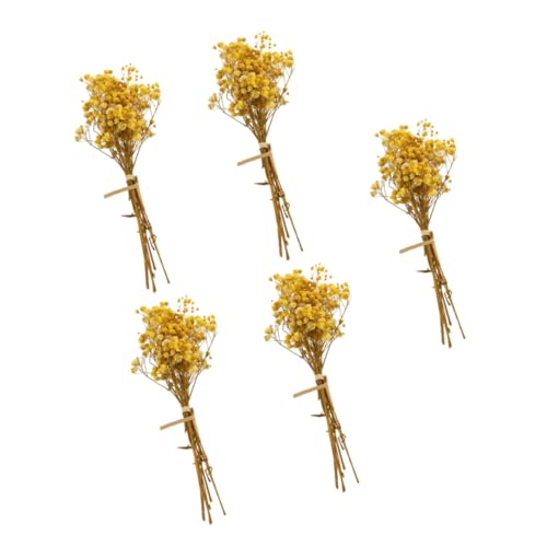 FUTUREORYY 5 Stück Teiliges Trockenblumen Bündel Schleierkraut Strauß Natürliche Farben Langlebig Wohnzimmer Dekoration Hochzeit Party FUTUREORYY 5 Stück Teiliges Trockenblumen Bündel Schleierkraut Strauß Natürliche Farben Langlebig Wohnzimmer Dekoration Hochzeit Party von FUTUREORYY