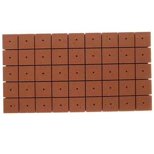 FUTUREORYY 50 Stück Steckling kultivierungsblöcke Nährstoffreiche Luftdurchlässige Wasserspeichernde Pflanzenerde für Gemüse und Blumen Balkon Gartenanwendung FUTUREORYY 50 Stück Steckling kultivierungsblöcke Nährstoffreiche Luftdurchlässige Wasserspeichernde Pflanzenerde für Gemüse und Blumen Balkon Gartenanwendung von FUTUREORYY