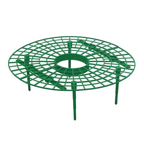 FUTUREORYY 6 Stück Teiliges Erdbeer Kletterpflanzenstützgestell aus Langlebigem Material Praktisches Gartenpflanzen Rankhilfen zur Sauberen Stabiler Pflanzhalter für Obst und Gemüse FUTUREORYY 6 Stück Teiliges Erdbeer Kletterpflanzenstützgestell aus Langlebigem Material Praktisches Gartenpflanzen Rankhilfen zur Sauberen Stabiler Pflanzhalter für Obst und Gemüse von FUTUREORYY