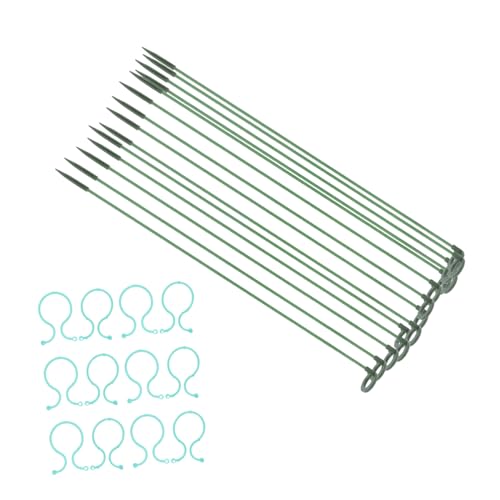 FUTUREORYY Blumenstütze Pflanzstab Grün Pflanzhalter für Zimmerpflanzen Bonsai und Sukkulenten Stabiler Pflanzenhalter Pflanzstützen für Blumentöpfe und Gartenpflanzen von FUTUREORYY