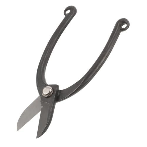 FUTUREORYY Edelstahl Gartenschere mit Ergonomischem Griff Präzise Schere für Zweige und Äste Frosted Oberfläche Langlebige Bypass Pruner für Gartenarbeit und Ikebana Komfortable Handhabung FUTUREORYY Edelstahl Gartenschere mit Ergonomischem Griff Präzise Schere für Zweige und Äste Frosted Oberfläche Langlebige Bypass Pruner für Gartenarbeit und Ikebana Komfortable Handhabung von FUTUREORYY