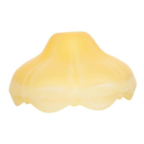FUTUREORYY Europäischer Glaslampenschirm Multifunktional Robustes Glasmaterial Stilvoller Lampenschirm für Pendelleuchte Tischlampe Deckenleuchte Elegantes Design für Wohn und Schlafzimmer FUTUREORYY Europäischer Glaslampenschirm Multifunktional Robustes Glasmaterial Stilvoller Lampenschirm für Pendelleuchte Tischlampe Deckenleuchte Elegantes Design für Wohn und Schlafzimmer von FUTUREORYY
