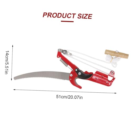 FUTUREORYY Gartenschere mit Stahlklingen Langlebige Astschere für Gartenarbeit Ergonomischer Griff Geeignet für Zweige und Obstbäume Robuste Baumschere mit Trowel Design Zufällige Farbe FUTUREORYY Gartenschere mit Stahlklingen Langlebige Astschere für Gartenarbeit Ergonomischer Griff Geeignet für Zweige und Obstbäume Robuste Baumschere mit Trowel Design Zufällige Farbe von FUTUREORYY