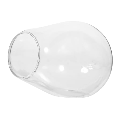 FUTUREORYY Glas Terrarium Pflanzflasche Kompakt Transparent Ökologisch Dekorativ für Tisch Sims Micro Landschaft DIY Moos Pflanzflasche Wohnzimmer Küche von FUTUREORYY