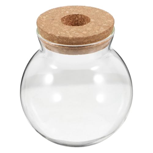FUTUREORYY Glas Terrarium Vase mit Korkdeckel Runde Transparente Hydroponik Pflanzflasche Platzsparendes Tischdekor für Sukkulenten und Luftpflanzen Vielseitiges Wohnaccessoire FUTUREORYY Glas Terrarium Vase mit Korkdeckel Runde Transparente Hydroponik Pflanzflasche Platzsparendes Tischdekor für Sukkulenten und Luftpflanzen Vielseitiges Wohnaccessoire von FUTUREORYY