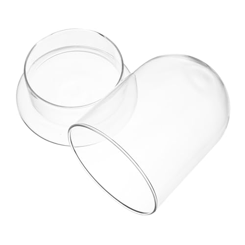 FUTUREORYY Glasflasche für Ökologische Mikrolandschaften mit Belüftung Dekorativer Tisch Deko Langlebig DIY Miniaturoptik für Pflanzen und Ornamente im Wohnzimmer und Büro FUTUREORYY Glasflasche für Ökologische Mikrolandschaften mit Belüftung Dekorativer Tisch Deko Langlebig DIY Miniaturoptik für Pflanzen und Ornamente im Wohnzimmer und Büro von FUTUREORYY