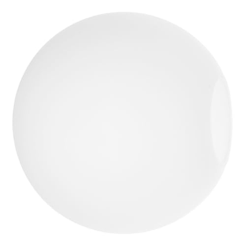 FUTUREORYY Glaskugel Lampenschirm Kugelförmiger Lampenschirm aus Glas Deckenlampe Ersatz Lampenglas für LED Leuchten Wohnzimmer Schlafzimmer Beleuchtungsschutz von FUTUREORYY