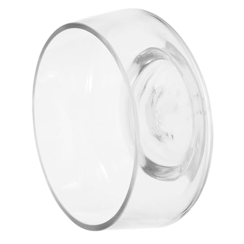FUTUREORYY Glasvase mit Großer Öffnung für Sukkulenten und Moos Dekorative Terrarium Vase für Hydrokultur und Mini landschaften Stilvolle Transparente Blumenvase für Wohnraumdekoration von FUTUREORYY