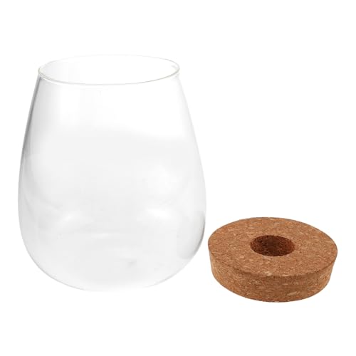 FUTUREORYY Hydroponische Glasflasche für Mikrolandschaft DIY Transparenter Pflanzbehälter als Dekorative Wasserpflanzen Vase Multifunktional für Zimmer und Büro Großes Wassertröpfchen Design FUTUREORYY Hydroponische Glasflasche für Mikrolandschaft DIY Transparenter Pflanzbehälter als Dekorative Wasserpflanzen Vase Multifunktional für Zimmer und Büro Großes Wassertröpfchen Design von FUTUREORYY