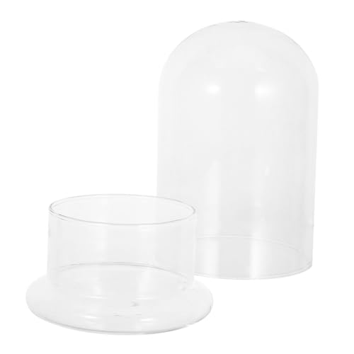 FUTUREORYY Hydroponisches Glasvase Ø Transparent Desktop Glasterrarium für Moos Kleine Pflanzen Selbsttragendes Ökosystem Platzsparend für Büro und Wohnräume FUTUREORYY Hydroponisches Glasvase Ø Transparent Desktop Glasterrarium für Moos Kleine Pflanzen Selbsttragendes Ökosystem Platzsparend für Büro und Wohnräume von FUTUREORYY