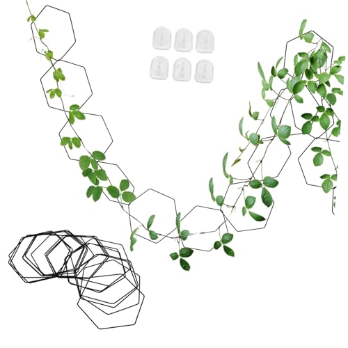 FUTUREORYY Kettenspalier Pflanzenstütze Verstellbar Wand rankgitter für Zimmerpflanzen Indoor Kletterpflanzen Rankhilfe mit Wandhaken für Balkon Garten Terrasse von FUTUREORYY