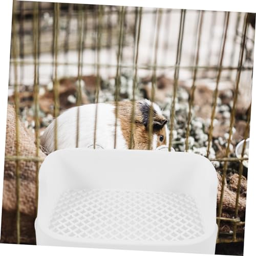 FUTUREORYY Kaninchen Toilette Aus Kunststoff Eckig Platzsparend Für Kaninchen Meerschweinchen Und Hamster Langlebig Einfach Zu Reinigen FUTUREORYY Kaninchen Toilette Aus Kunststoff Eckig Platzsparend Für Kaninchen Meerschweinchen Und Hamster Langlebig Einfach Zu Reinigen von FUTUREORYY