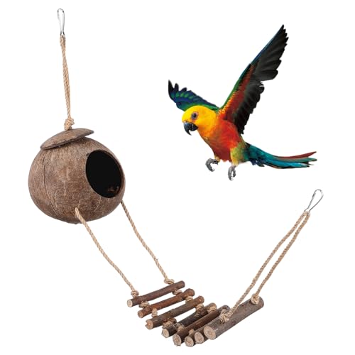 FUTUREORYY Kokosnuss Versteckhöhle für Reptilien mit Leiter Natürlicher Unterschlupf für Eidechsen Spinnen und Reptilien im Terrarium Langlebig und Sicher von FUTUREORYY