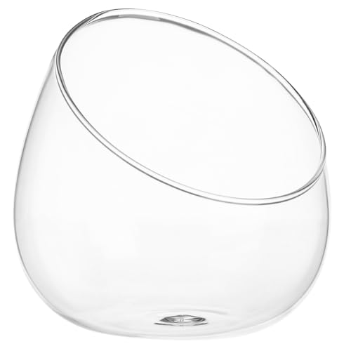 FUTUREORYY Micro Landscape Ecological Flasche Transparent Glasbehälter zum Bepflanzen mit Sukkulenten Dickwandig Langlebig Dekoratives Terrarium für Zuhause Büro und von FUTUREORYY