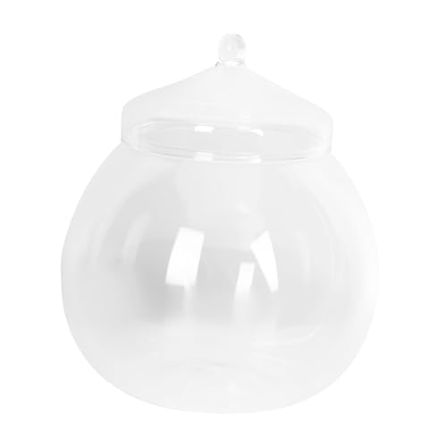 FUTUREORYY Micro Landscape Flasche mit Deckel Transparentes Glas Terrarium Behälter für DIY Moos Pflanzen Kompaktes Ökologisches Flaschengarten Zubehör für Zuhause Büro Dekoration FUTUREORYY Micro Landscape Flasche mit Deckel Transparentes Glas Terrarium Behälter für DIY Moos Pflanzen Kompaktes Ökologisches Flaschengarten Zubehör für Zuhause Büro Dekoration von FUTUREORYY