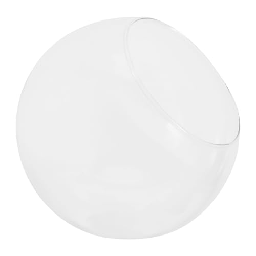 FUTUREORYY Micro Landscape Glasvase Schräger Mund DIY Pflanzen Terrarium Dekoration für Büro Zuhause mit Klarem Glas für Luftpflanzen und Sukkulenten FUTUREORYY Micro Landscape Glasvase Schräger Mund DIY Pflanzen Terrarium Dekoration für Büro Zuhause mit Klarem Glas für Luftpflanzen und Sukkulenten von FUTUREORYY