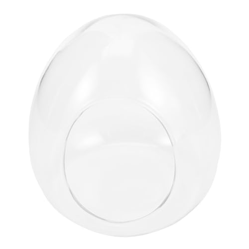 FUTUREORYY Micro Landscape Terrarium Glasflasche Eleganter Ökologischer Pflanzenbehälter Innovatives DIY Ökosystem Klarer Glascontainer für Moos und Dekoration von FUTUREORYY