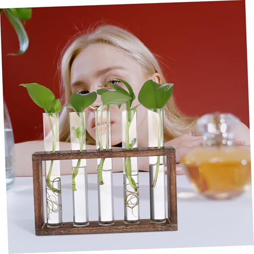 FUTUREORYY Modernes Pflanzen Terrarium Holzständer mit Rack Transparenten Reagenzgläsern für Pflanzenvermehrung Inklusive Reinigungsbürste Stilvolle Hydroponik Station für Wohnzimmer Büro FUTUREORYY Modernes Pflanzen Terrarium Holzständer mit Rack Transparenten Reagenzgläsern für Pflanzenvermehrung Inklusive Reinigungsbürste Stilvolle Hydroponik Station für Wohnzimmer Büro von FUTUREORYY