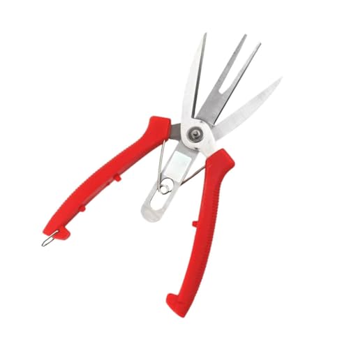 FUTUREORYY Pruning Shear Gartenschere mit Kunststoffgriff Ergonomisch Handschonend Multifunktional für Obst Gemüse Garten Obsternte und Astschnitt Langlebiges Gartengerät FUTUREORYY Pruning Shear Gartenschere mit Kunststoffgriff Ergonomisch Handschonend Multifunktional für Obst Gemüse Garten Obsternte und Astschnitt Langlebiges Gartengerät von FUTUREORYY