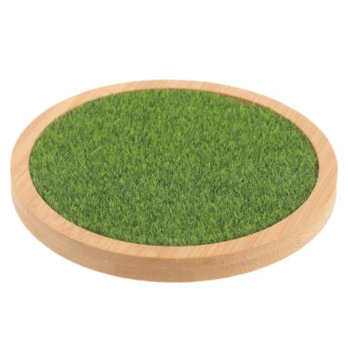 FUTUREORYY Simulierte Gras Display Basis Rund Kleine Figur Ständer Robust Wiederverwendbar Dekorativer Sockel für Puppen und Miniaturen Wohnzimmer Schreibtisch Zubehör von FUTUREORYY