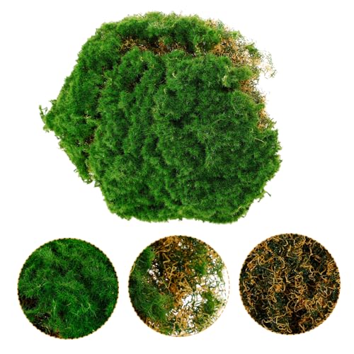 FUTUREORYY Simuliertes Moos Rasenteppich Künstliches Moos Turf Dekor für Garten Bonsai Terrarium DIY Bastel Dekomoos Grünpflanzen Wandgestaltung FUTUREORYY Simuliertes Moos Rasenteppich Künstliches Moos Turf Dekor für Garten Bonsai Terrarium DIY Bastel Dekomoos Grünpflanzen Wandgestaltung von FUTUREORYY