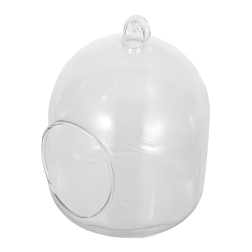 FUTUREORYY Terrarium Container Moss Micro Landscape Flasche Kompakter Desktop Pflanzenbehälter Vielseitig für Büro Home Stilvolle Grüne Akzentgestaltung von FUTUREORYY