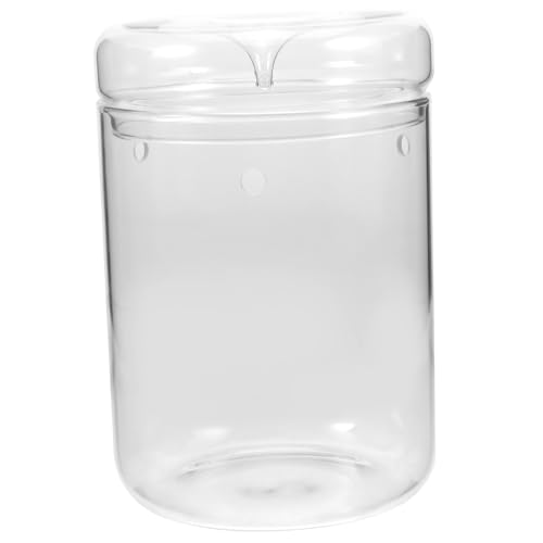 FUTUREORYY Terrarium Pflanzgefäß Mini Ökologischer Moos Landschaftsflaschentopf Dekorativer Pflanzenhalter für Büro und Wohnzimmer FUTUREORYY Terrarium Pflanzgefäß Mini Ökologischer Moos Landschaftsflaschentopf Dekorativer Pflanzenhalter für Büro und Wohnzimmer von FUTUREORYY