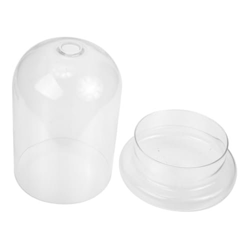 FUTUREORYY Transparente Mikrolandschaft Glasflasche DIY Moos Ökoflasche mit Öffnung Multifunktionaler Desktop Pflanzenbehälter für Kreative Wohn Gartendekoration von FUTUREORYY