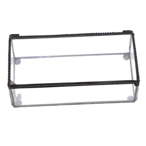 FUTUREORYY Transparente Schmuck geschenkbox mit Deckel Vintage Eisen Glasrahmen Elegante Aufbewahrungsbox für Ringe Ohrringe Langlebiger Schmuckorganizer als Geburtstags Hochzeitsgeschenk von FUTUREORYY