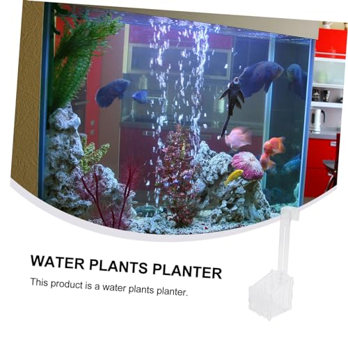 FUTUREORYY Wasserpflanzentopf mit Haken Kleine Aquarienpflanzen Halterung für Fischbecken Wiederverwendbar Robust Geeignet für Aquarium und Teich Dekoration FUTUREORYY Wasserpflanzentopf mit Haken Kleine Aquarienpflanzen Halterung für Fischbecken Wiederverwendbar Robust Geeignet für Aquarium und Teich Dekoration von FUTUREORYY