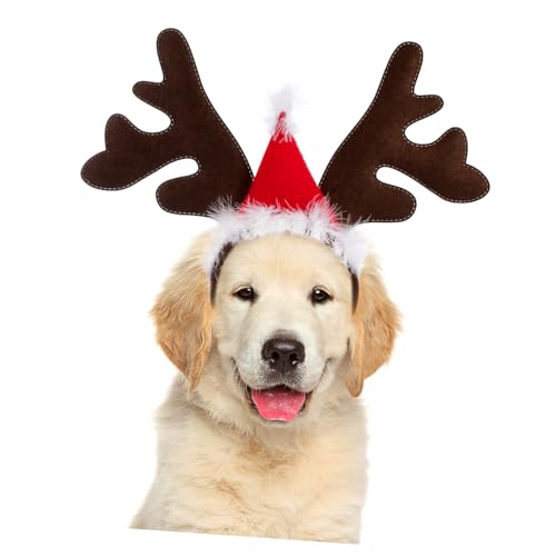 FUTUREORYY Weihnachts Rentier Geweih Haarreif für Hunde Katzen Rotes Haarschmuck Bequemes und Hautfreundliches Haustier Kopfbedeckung für Weihnachtsfeier Cosplay Geburtstag und FUTUREORYY Weihnachts Rentier Geweih Haarreif für Hunde Katzen Rotes Haarschmuck Bequemes und Hautfreundliches Haustier Kopfbedeckung für Weihnachtsfeier Cosplay Geburtstag und von FUTUREORYY