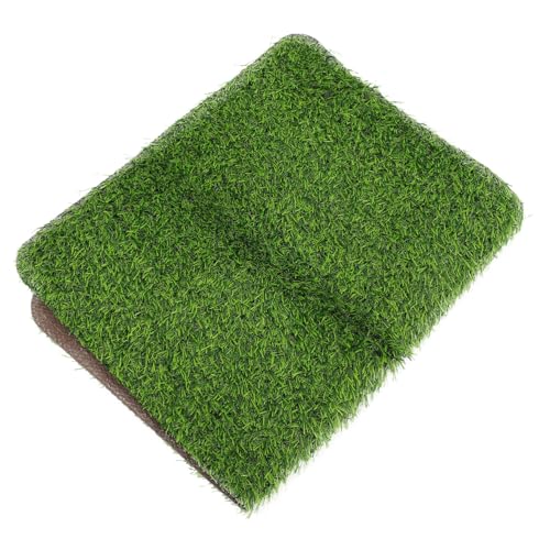 FUTUREORYY rutschfeste Türmatte Dicke Künstliche Gras Teppich Fußmatte Wasserfest und Strapazierfähig für Innen Außen Eingang Flur Büro Camping Schutz Boden Schmutzfänger von FUTUREORYY