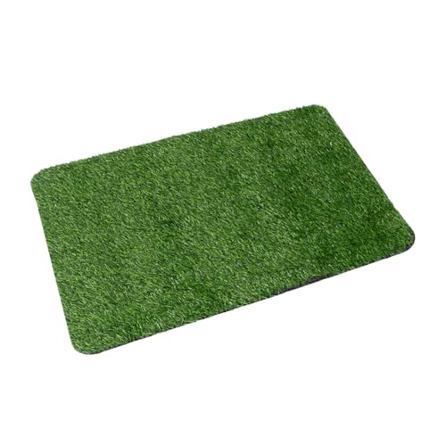 FUTUREORYY rutschfeste Türmatte mit TPR Unterseite Künstlicher Gras Teppich Schmutzabweisend und Strapazierfähig für Eingangsbereich Flur Büro und Wohnräume Zufällige Farbe von FUTUREORYY