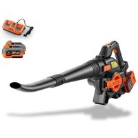 [NEUWERTIG] FUXTEC 40 Volt 2in1 Akku-Laubbläser/-sauge Set, leistungsstarker Laubhäcksler, inkl. Laubfangsack, ergonomischer Griff, FX-E2LBS-SET von FUXTEC